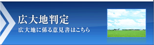 広大地判定。広大地に係る意見書はこちら。